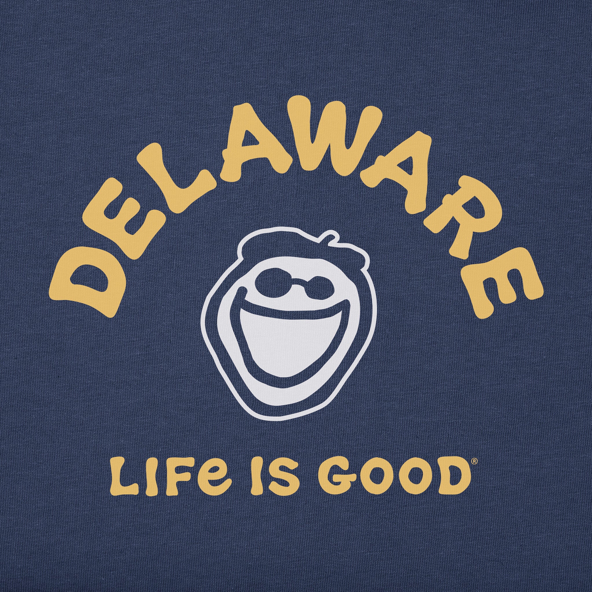 Product image for "Men's Jake Delaware Short Sleeve Crusher Tee" ||84846_2