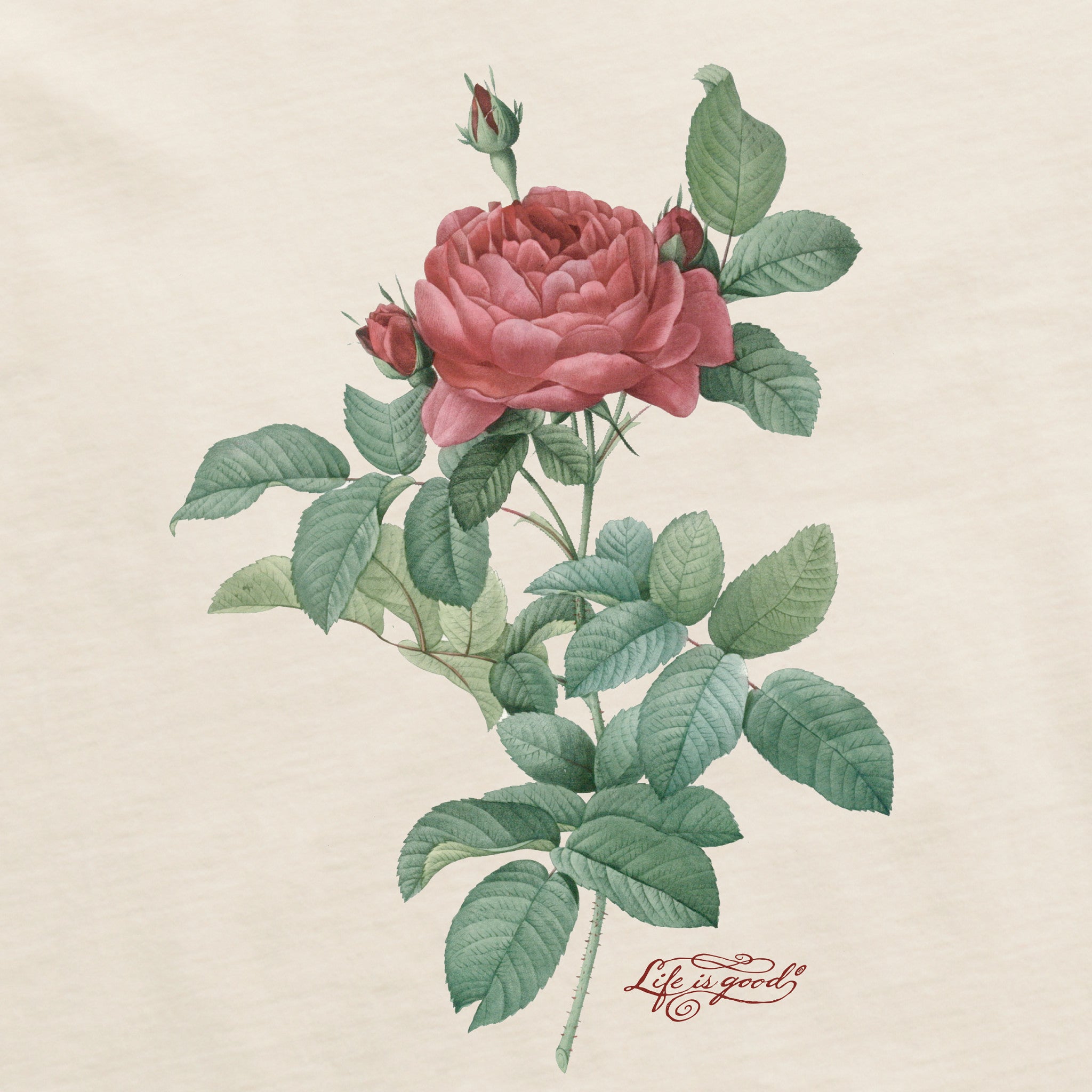 Women's Antique Rose Painting Short Sleeve Crusher Tee | Shop Life