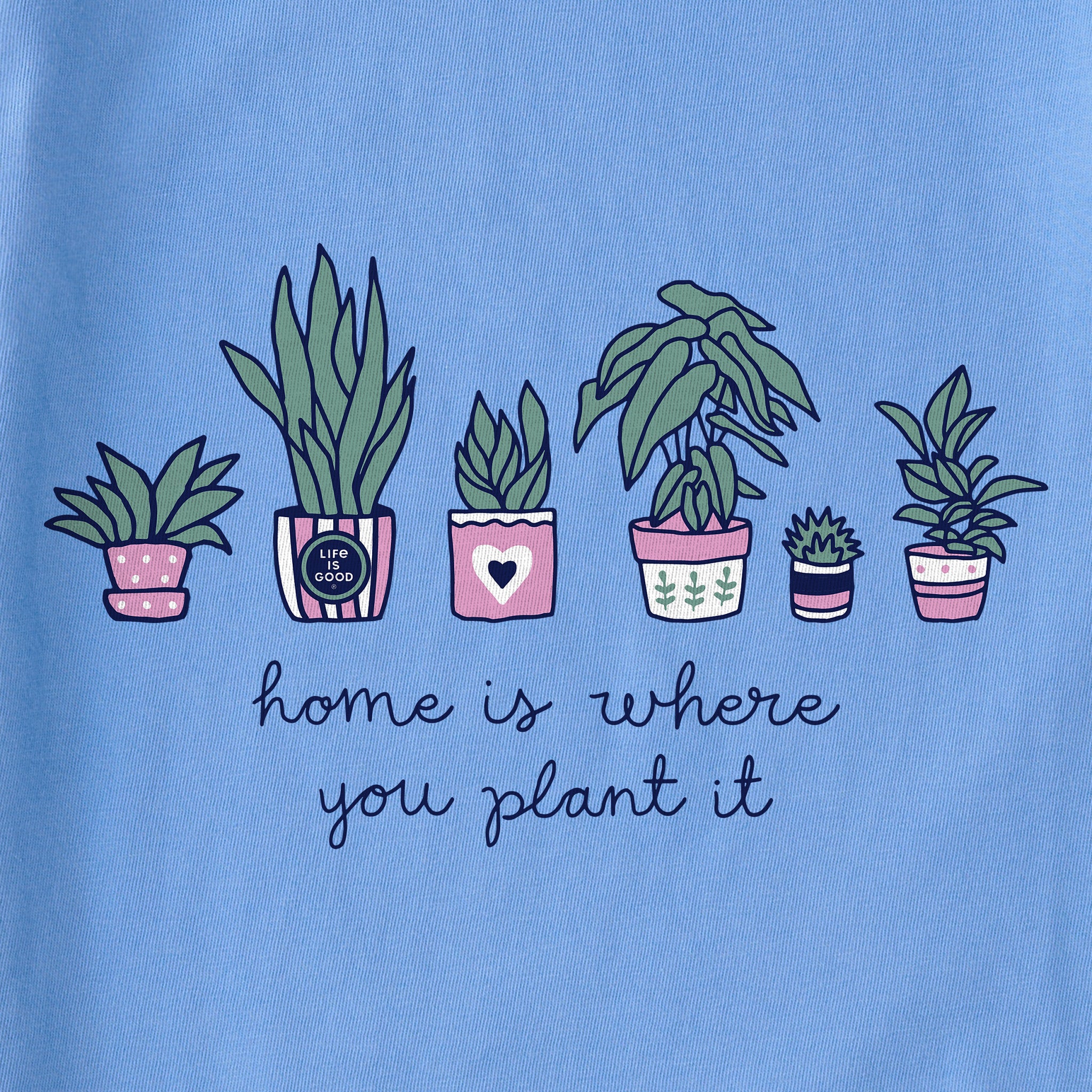 plants near me Ruda Plant For Sale main image 1