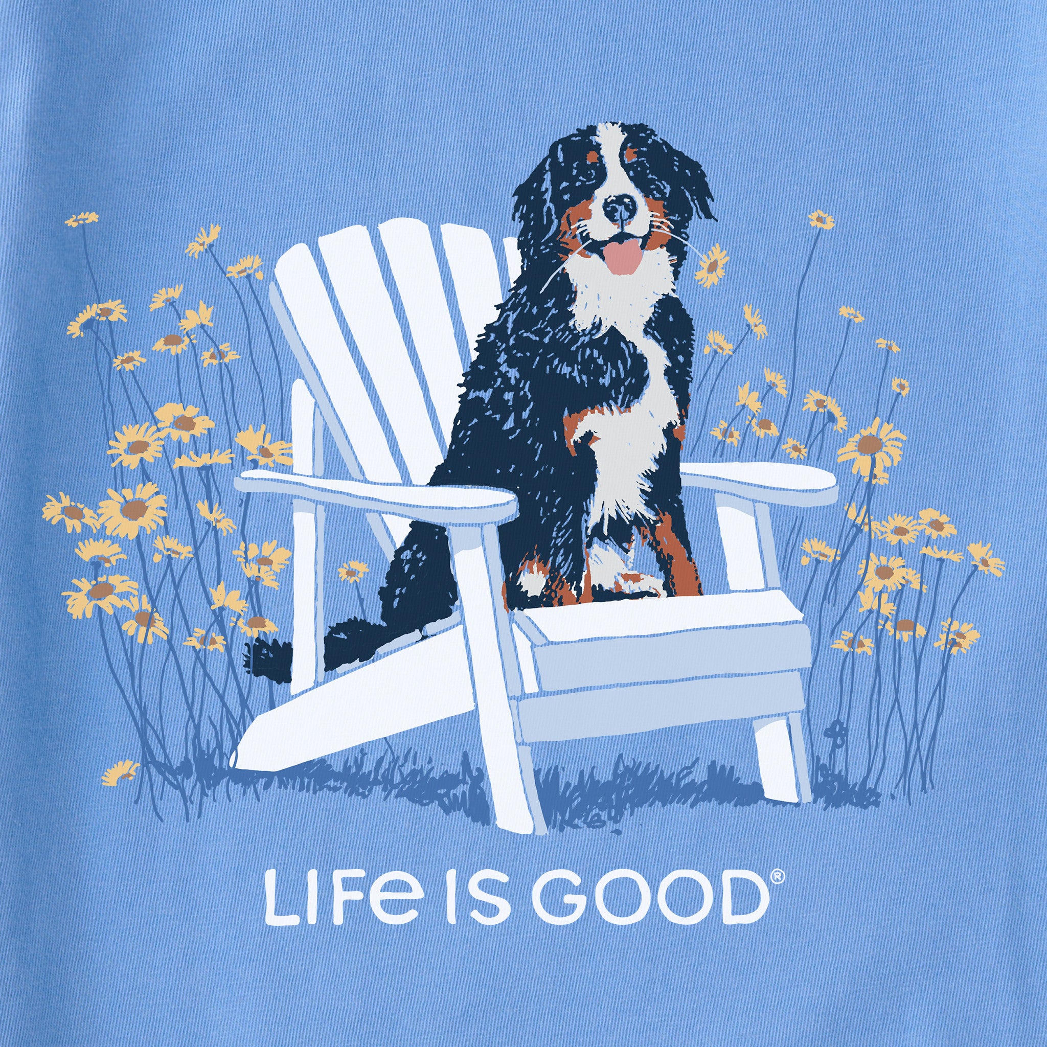 Women's Spring Adirondack Bernese Short Sleeve Tee | Shop Life is Good