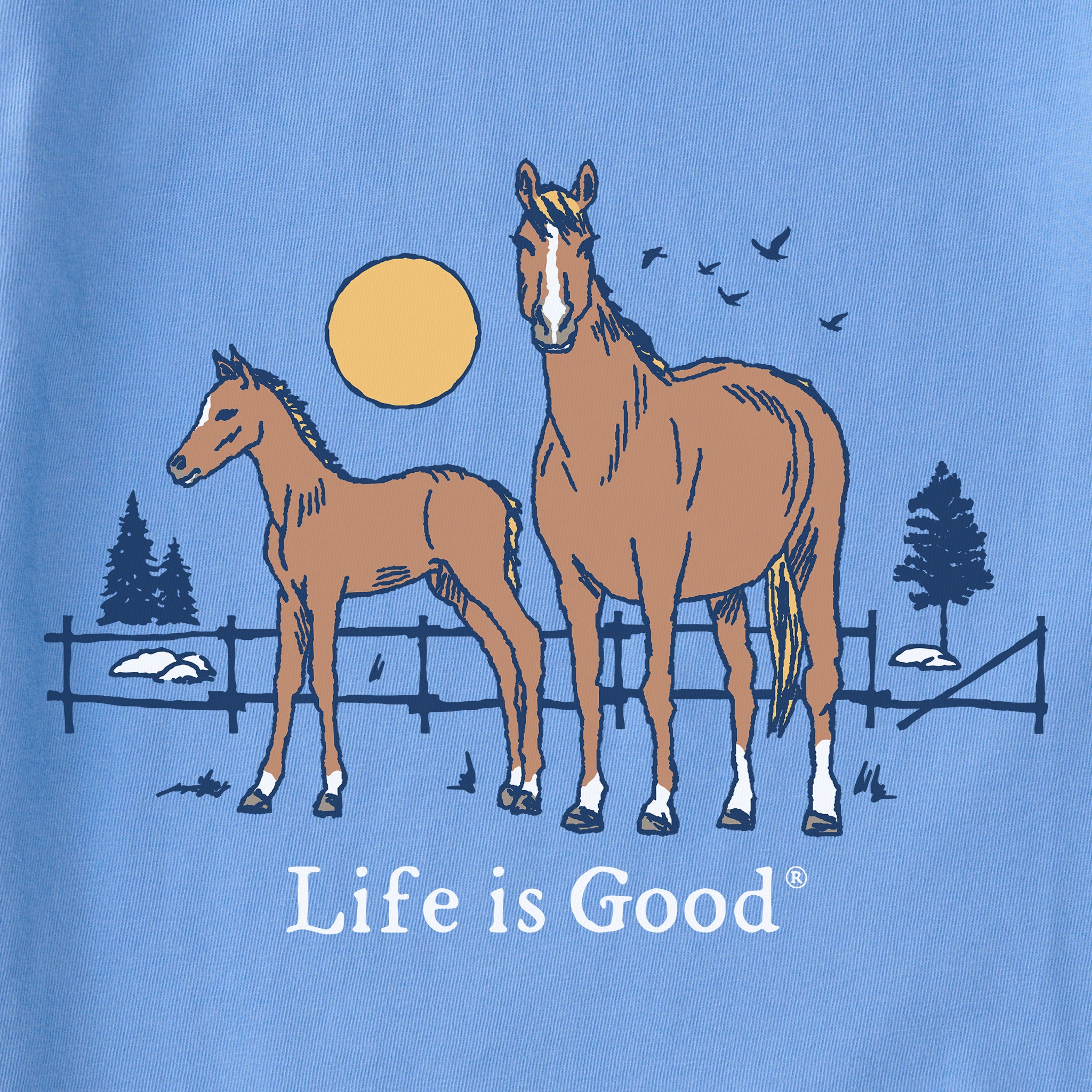 Product image for "Women's Horse and Foal Short Sleeve Crusher Tee" ||116841_2