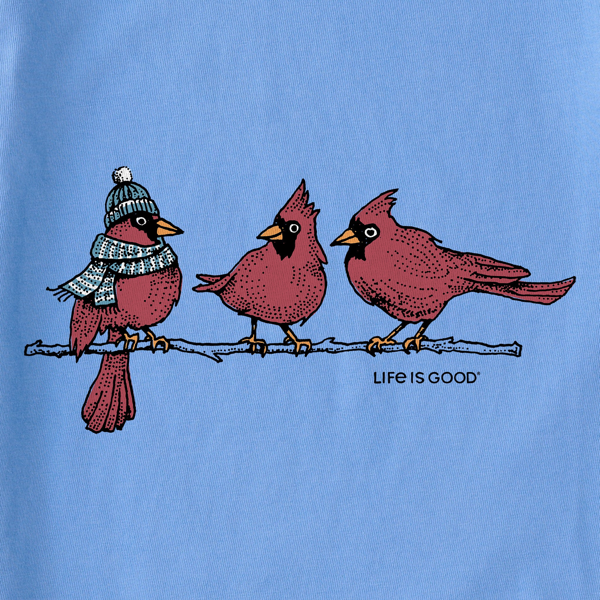 cardinals dressed in purple These vestments became the uniform vestments for Cardinals during Papal  Masses in Rome. I saw Violet, Red and Green versions of this particular  design. Cardinal Tagle was elevated as Cardinal-Bishop just now,