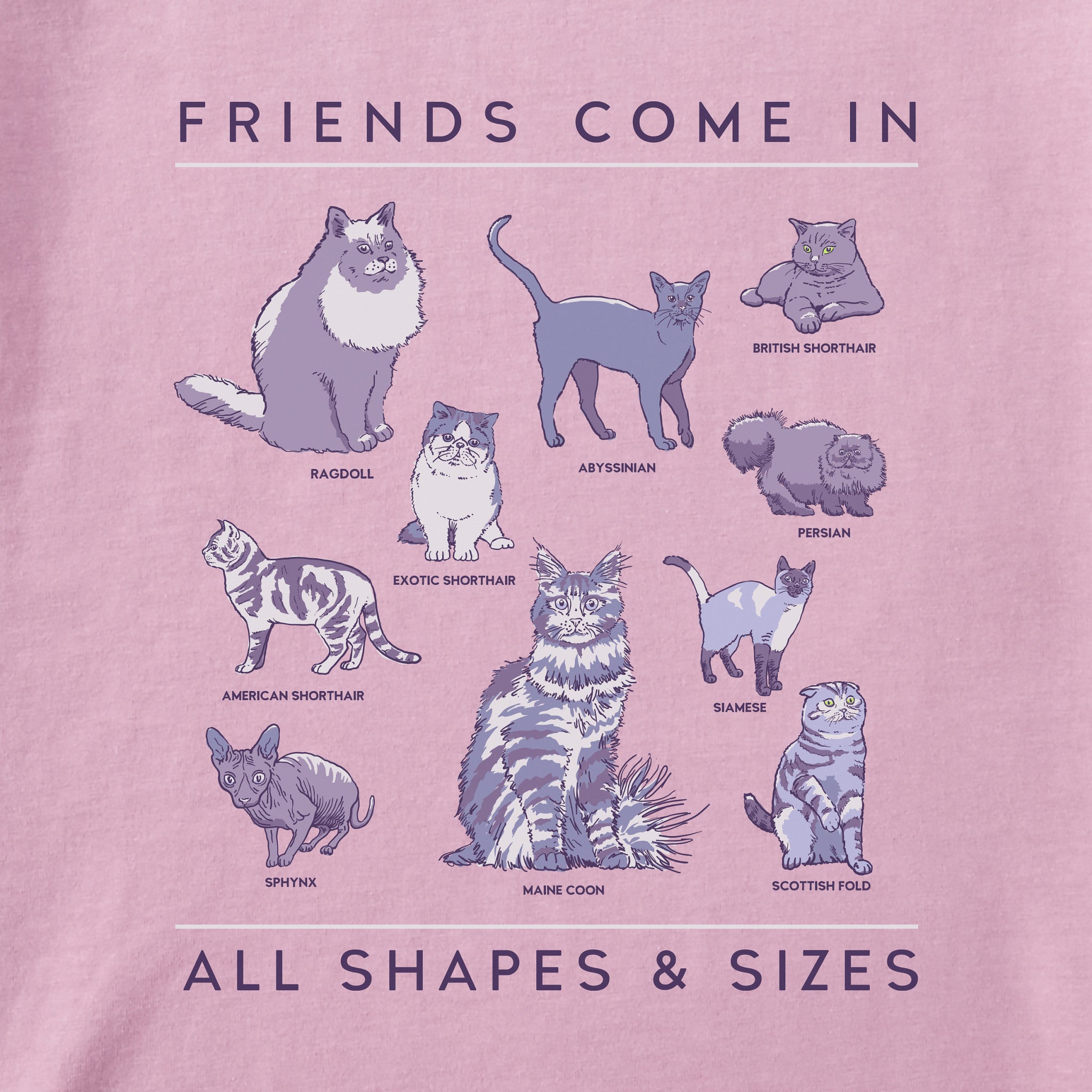 Kids Cat Friends Shapes & Sizes Short Sleeve Crusher Tee | Shop
