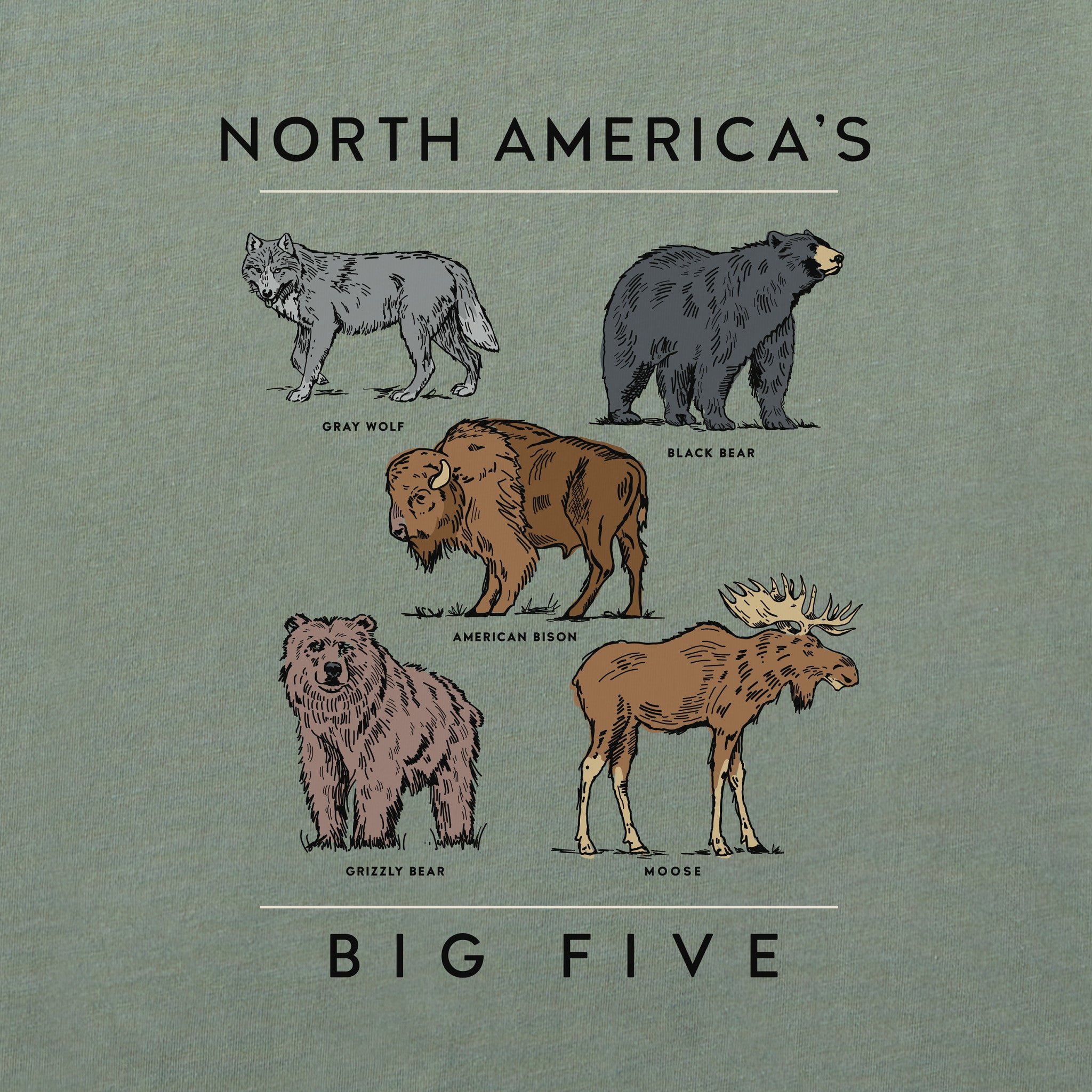 goodbuyer Women's Great Smoky Mountains Bear Short Sleeve Tee | Shop