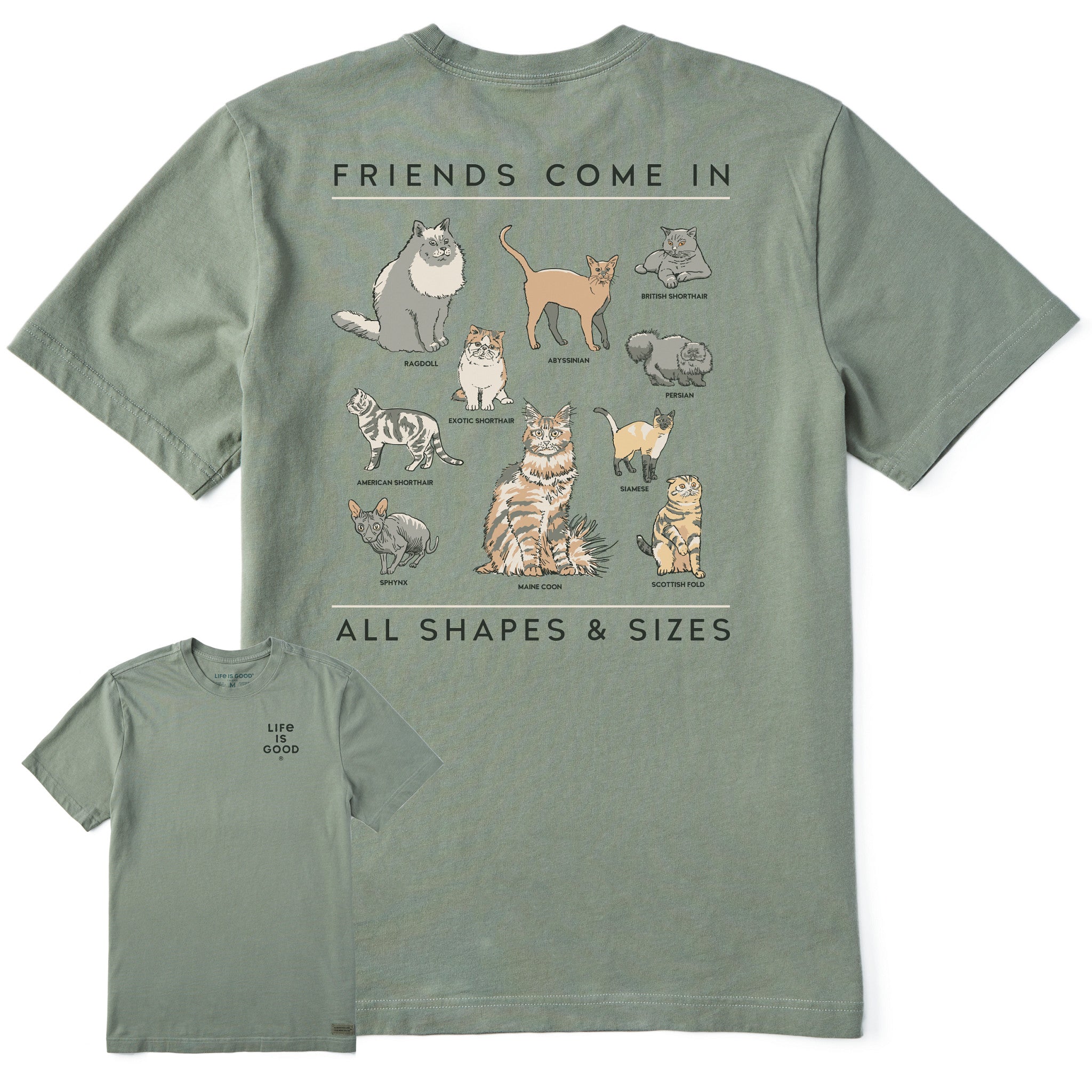 Men's Cat Friends Shapes & Sizes Short Sleeve Tee | Shop Life is Good