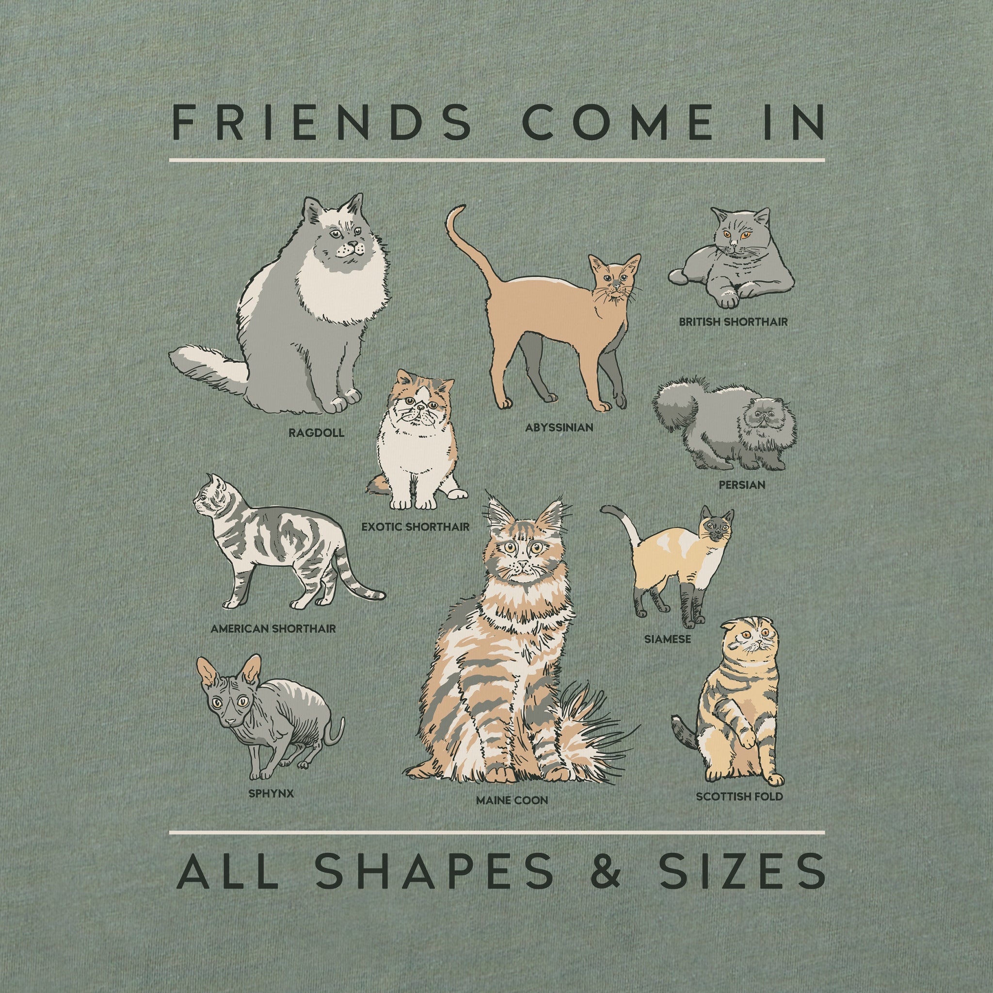 Men's Cat Friends Shapes & Sizes Short Sleeve Tee | Shop Life is Good