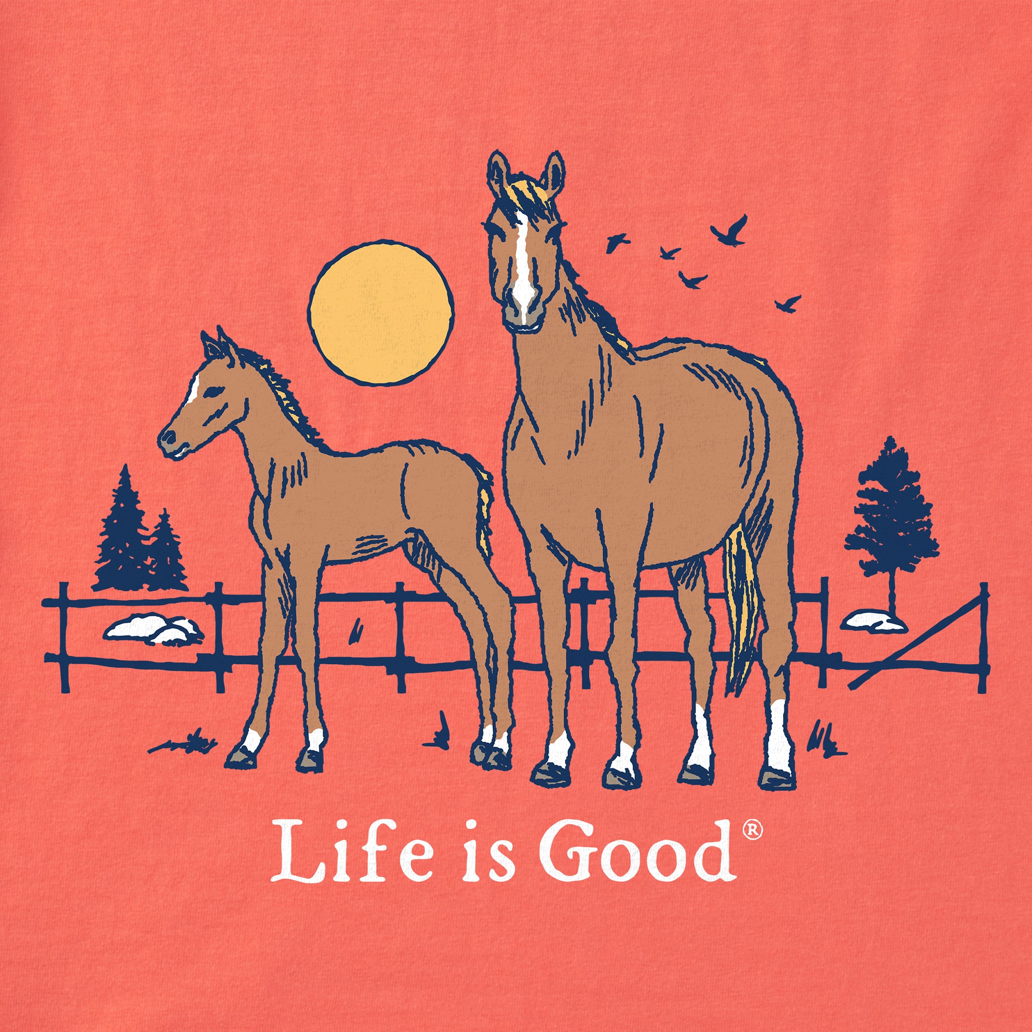 Kids Horse and Foal Short Sleeve Crusher Tee | Shop Life is Good
