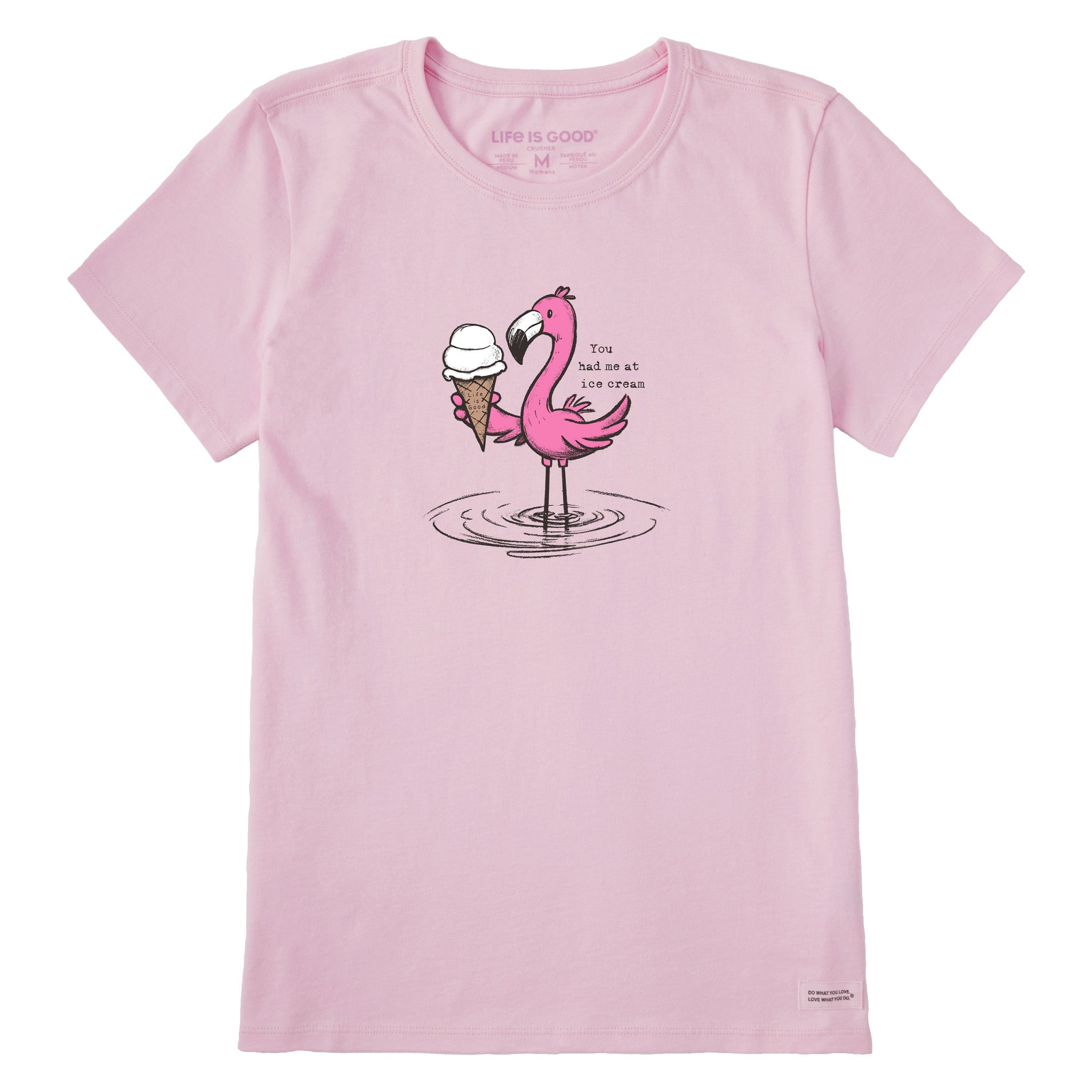 Women's You Had Me at Ice Cream Flamingo Short Sleeve Tee | Shop