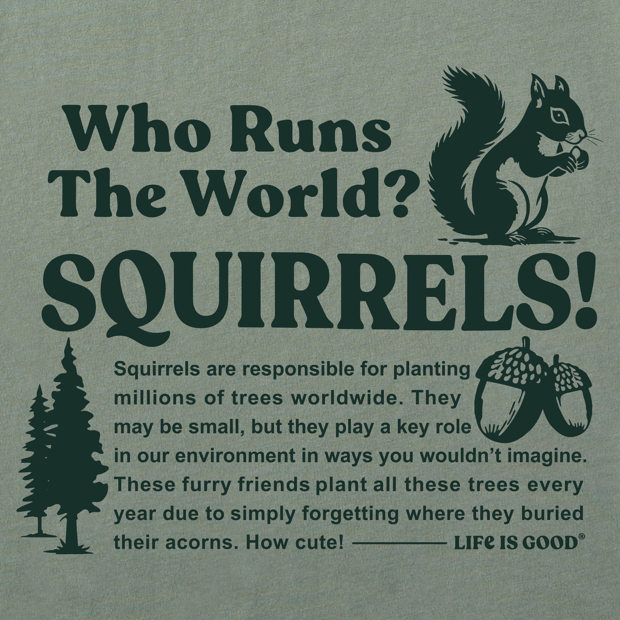 Women's Squirrels Run the World Short Sleeve Crusher Tee | Shop