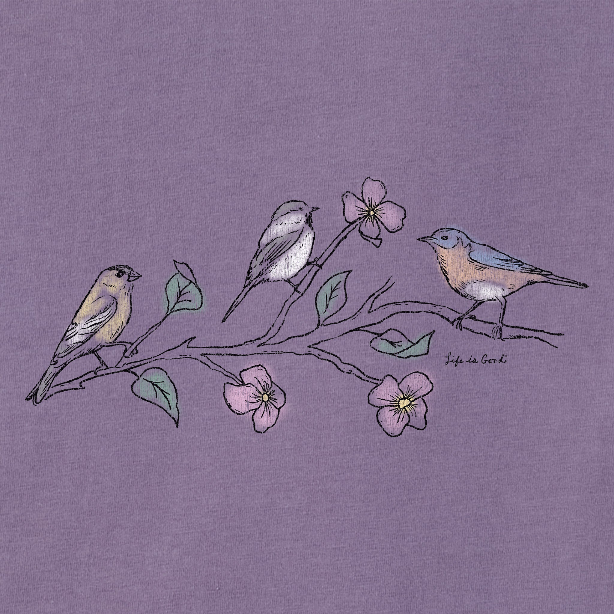 Product image for "Women's Three Birds Short Sleeve Crusher Boxy Tee" ||150764_2