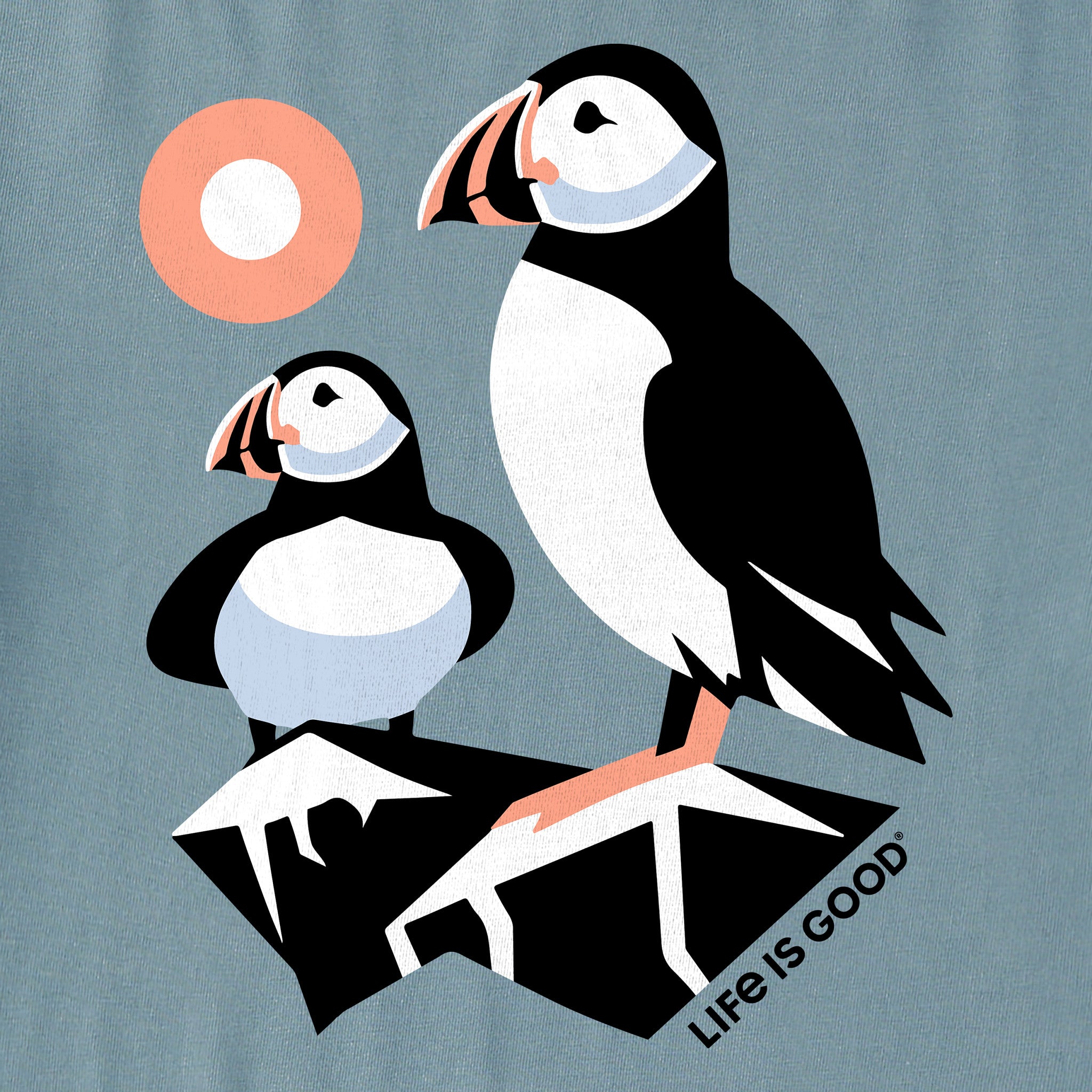 Men's Pair of Puffins Short Sleeve Crusher Tee - Main Image