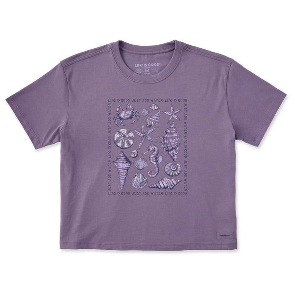 158193_1_grande.jpg?v=1738877099