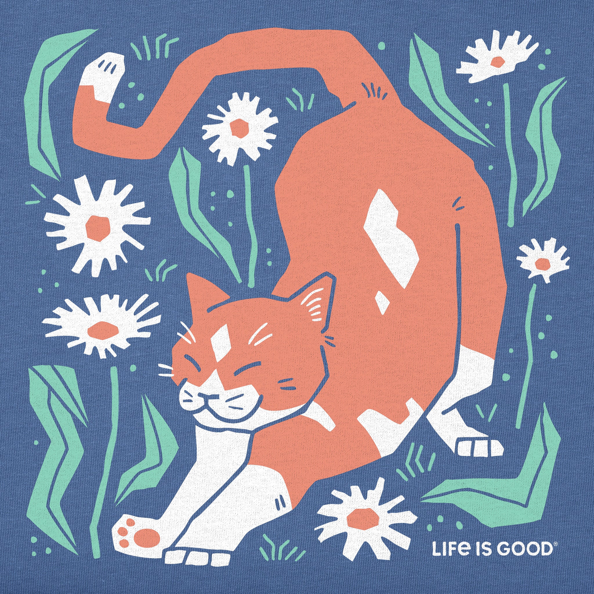 Product image for "Women's Big Stretch Cat Short Sleeve Tee" ||160588_2