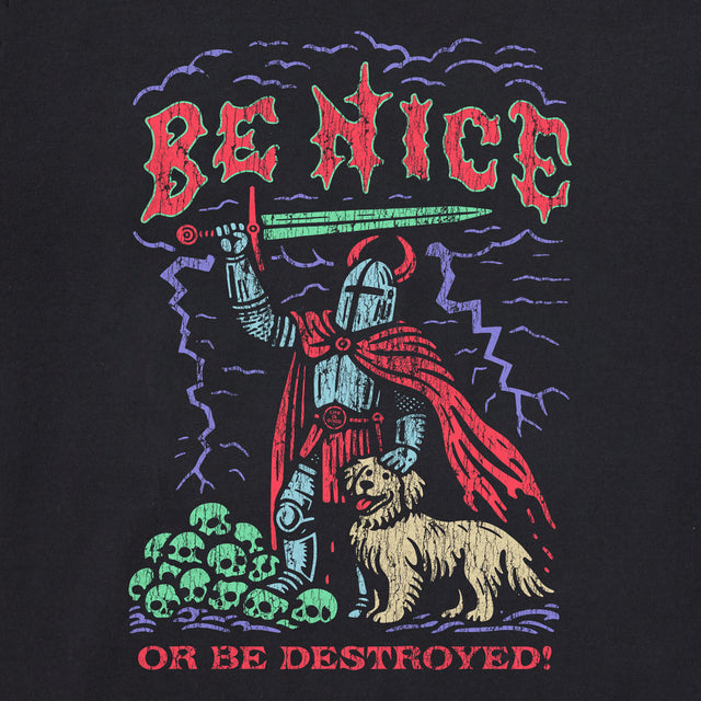 Product image for "Women's Be Nice or be Destroyed Short Sleeve Crusher Boxy Tee" ||166764_2