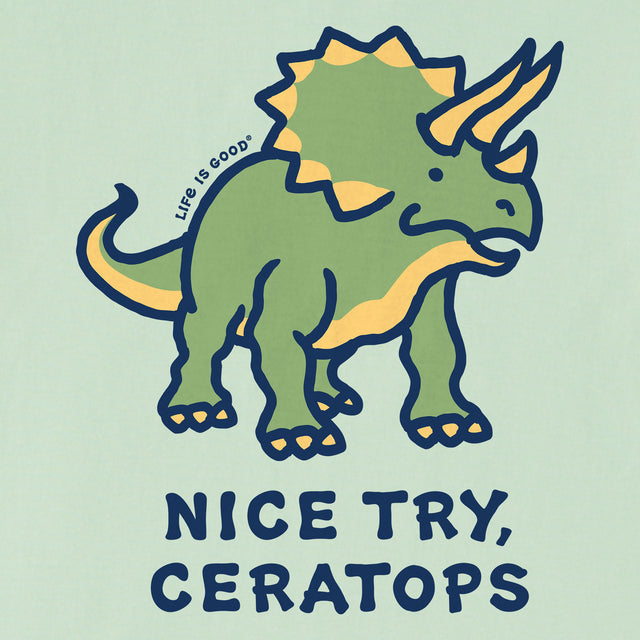 Product image for "Kids Nice Try, Ceratops Short Sleeve Crusher Tee" ||173138_2