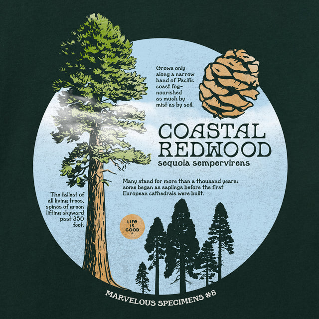 Product image for "Women's Coastal Redwood Short Sleeve Crusher Tee" ||174368_2