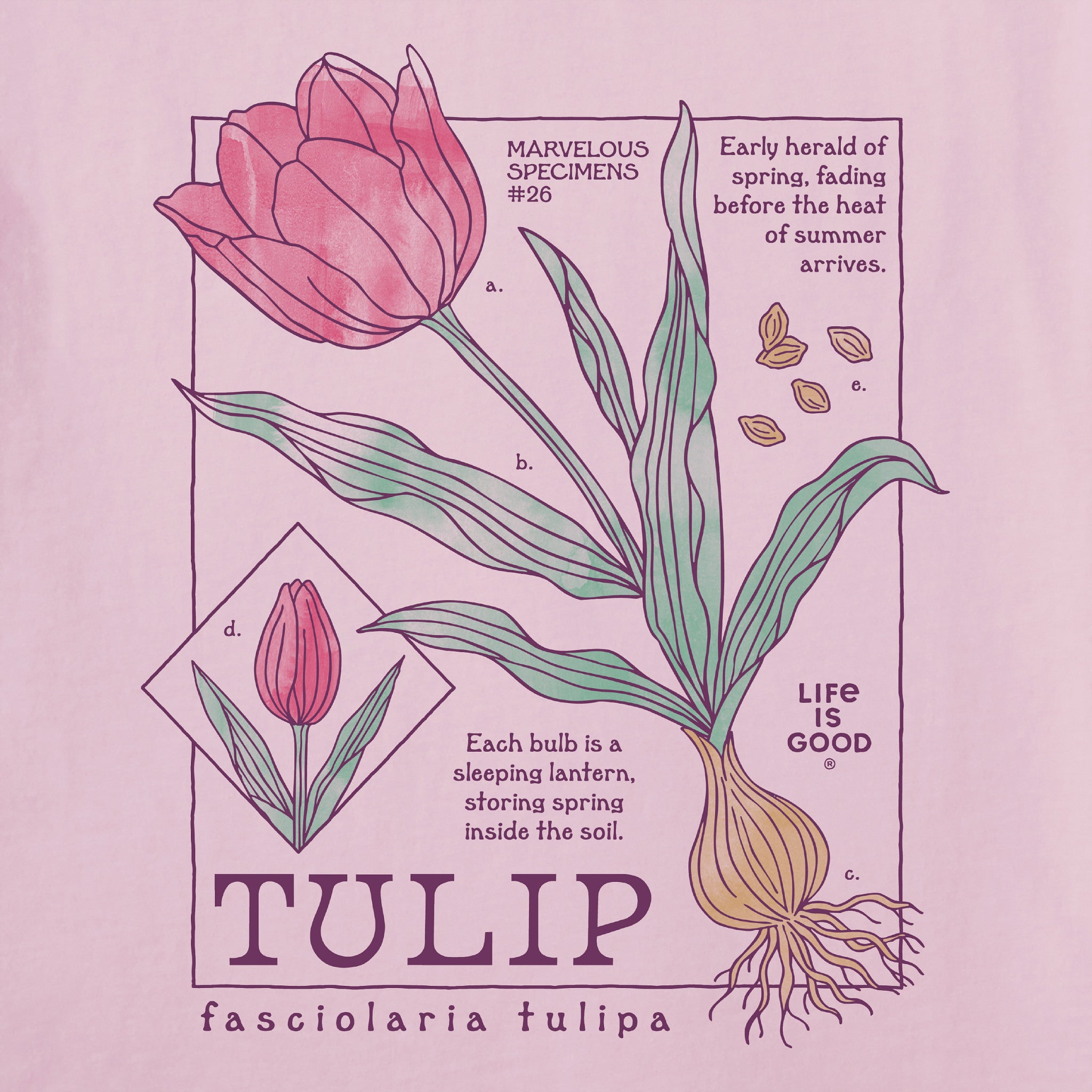 Women's Marvelous Tulip Short Sleeve Crusher Tee | Shop Life is Good