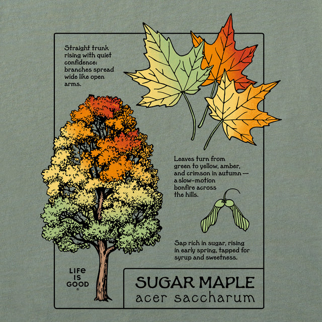 Product image for "Women's Marvelous Sugar Maple Short Sleeve Crusher Tee" ||174384_2