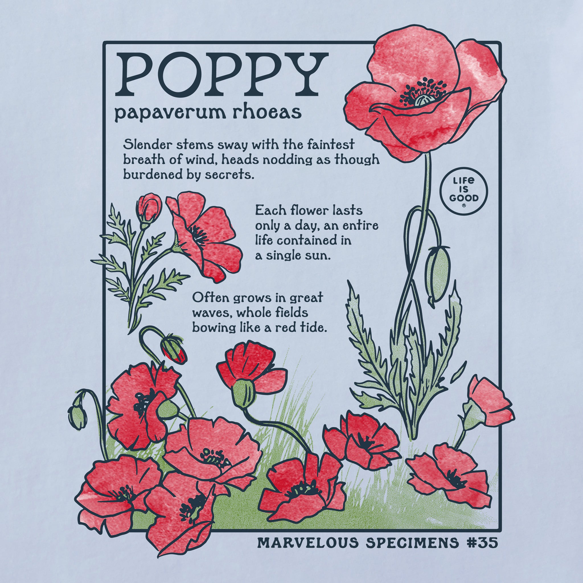 Women's Marvelous Poppy Short Sleeve Crusher Tee | Shop Life is Good