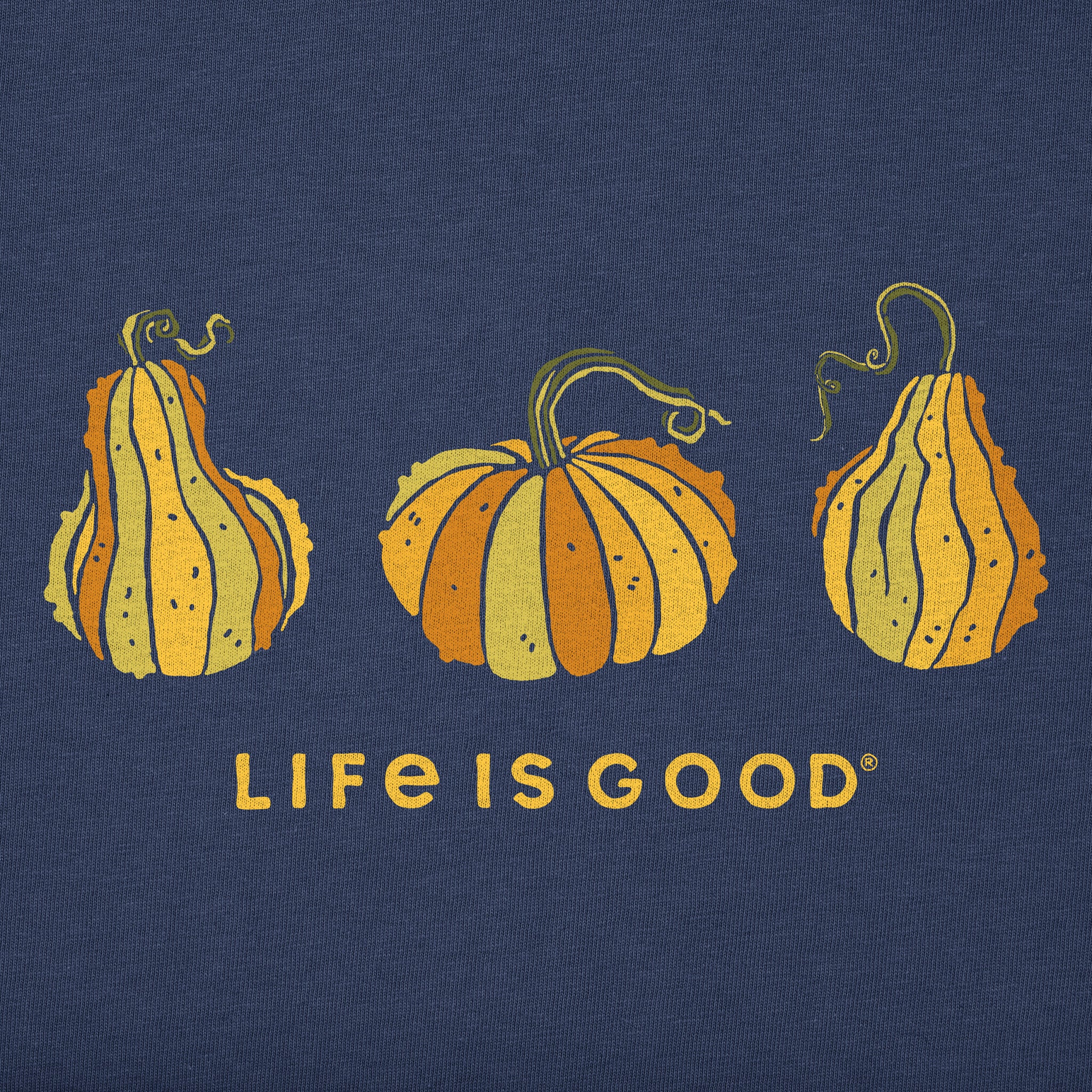 Women's Gourd Trio Short Sleeve Crusher Vee | Shop Life is Good
