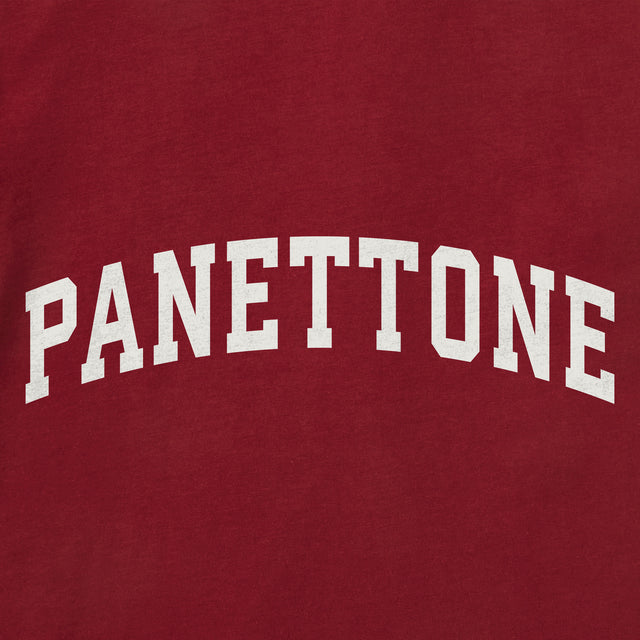 Product image for "Men's Panettone Arch Short Sleeve Crusher Tee" ||176814_2