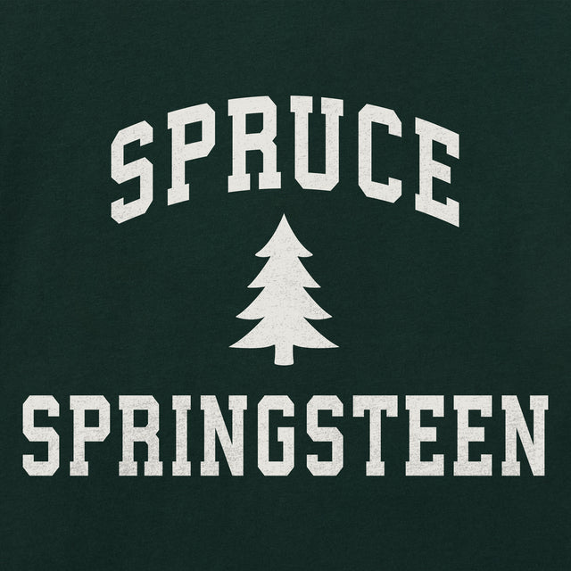 Product image for "Women's Spruce Springsteen Arch Short Sleeve Crusher Boxy Tee" ||181705_2