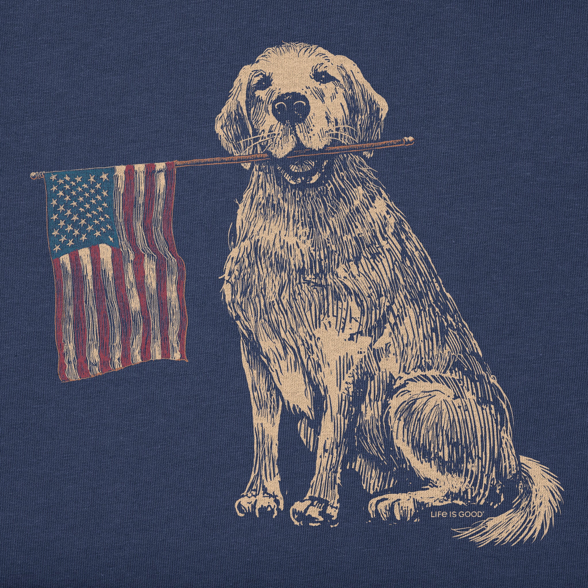 Men's USA Golden Short Sleeve Crusher Tee | Shop Life is Good