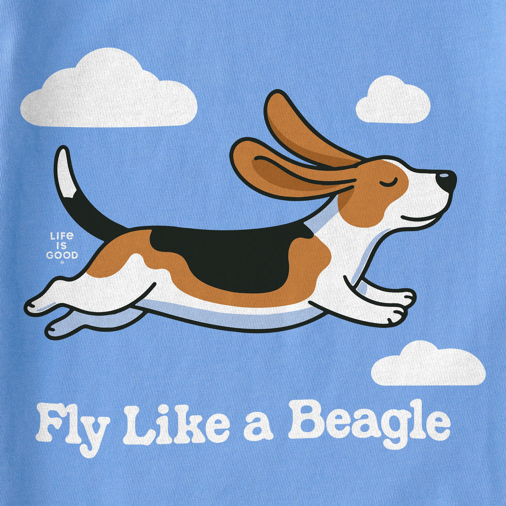 Kids Fly Like a Beagle Short Sleeve Crusher Tee | Shop Life is Good