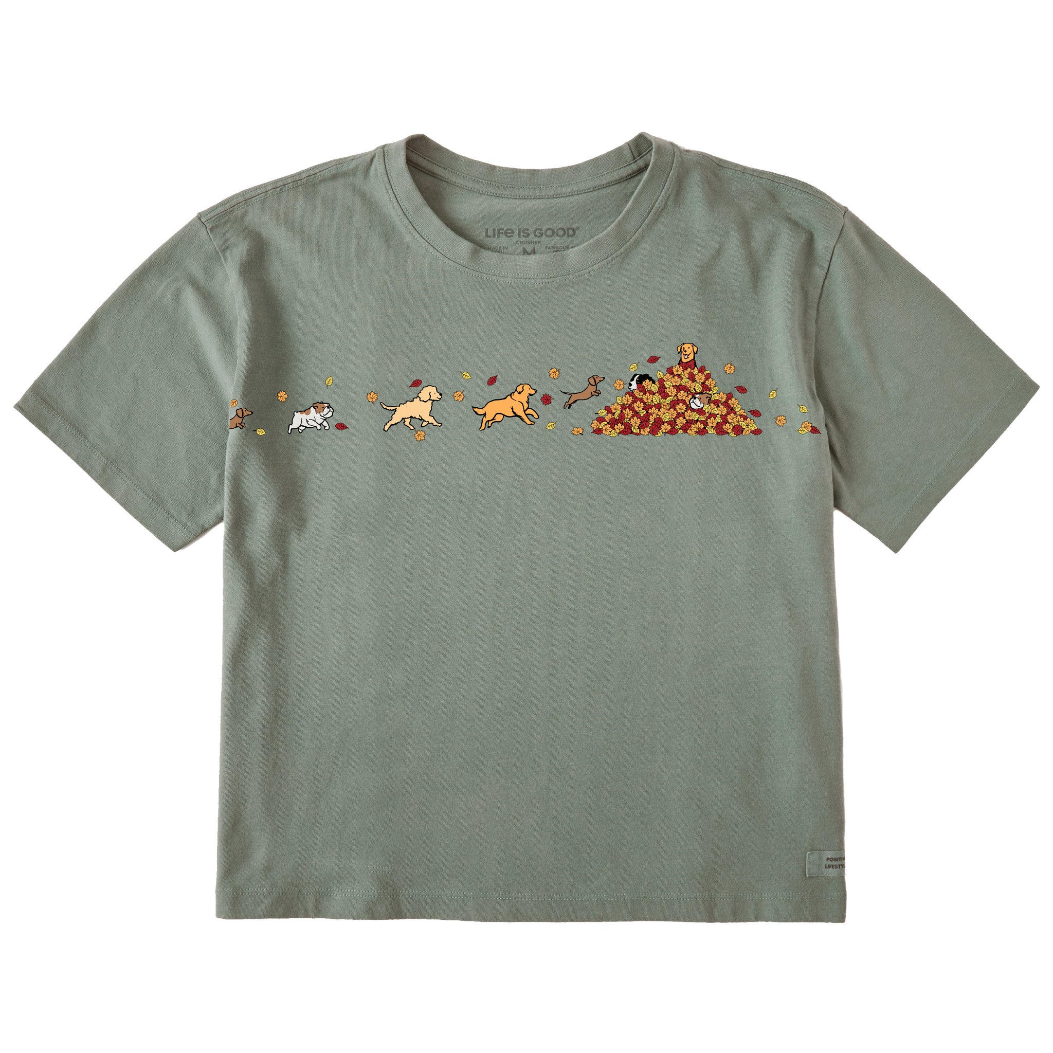 Women's Fall Leaf Pile Pups Short Sleeve Crusher Boxy Tee | Shop