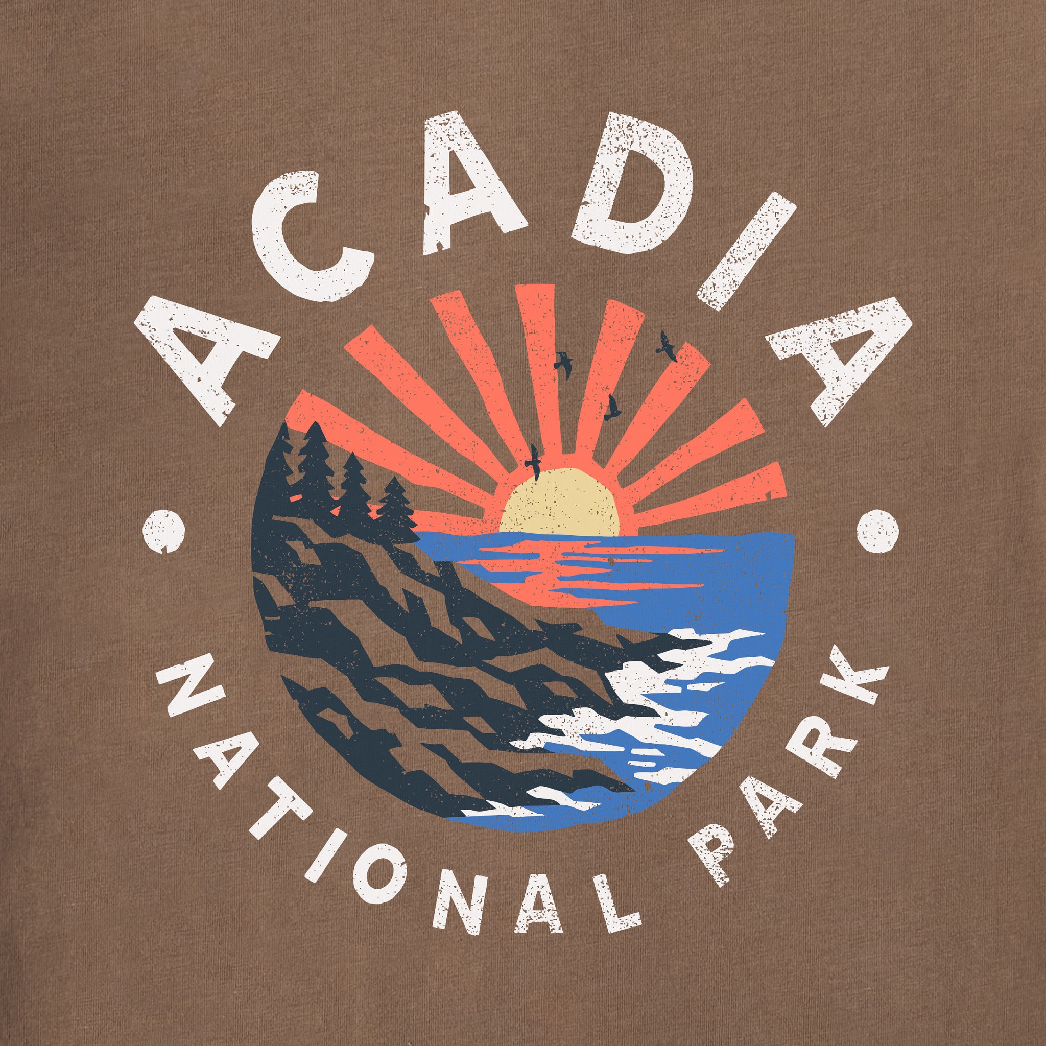 Women's Acadia National Park Sunrise Crusher-LITE Shrunken Tee