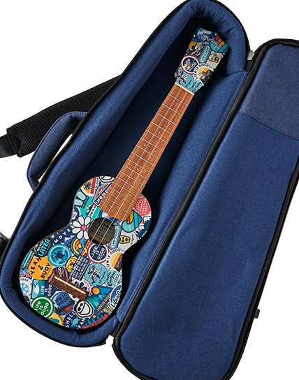 Martin Guitar