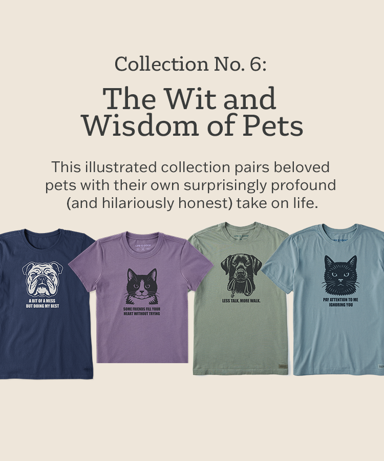 Bert's Shirts Collection 6
