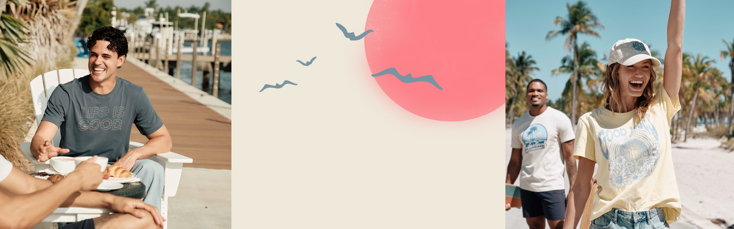 birds flying in the sky