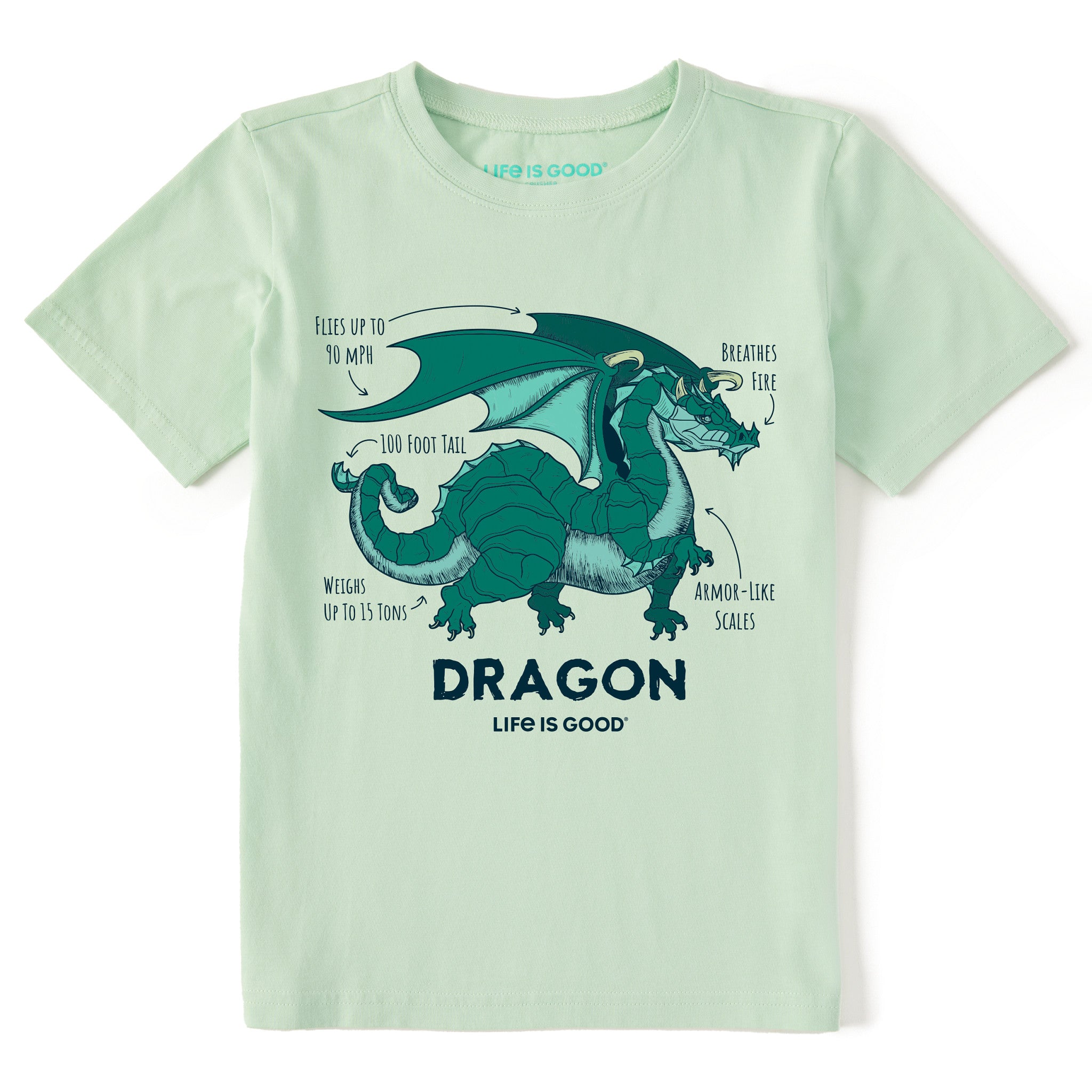 Kids Dragon Facts Short Sleeve Crusher Tee | Shop Life is Good