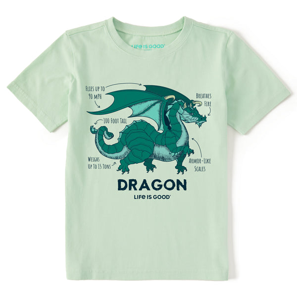 Kids Dragon Facts Short Sleeve Crusher Tee | Shop Life is Good