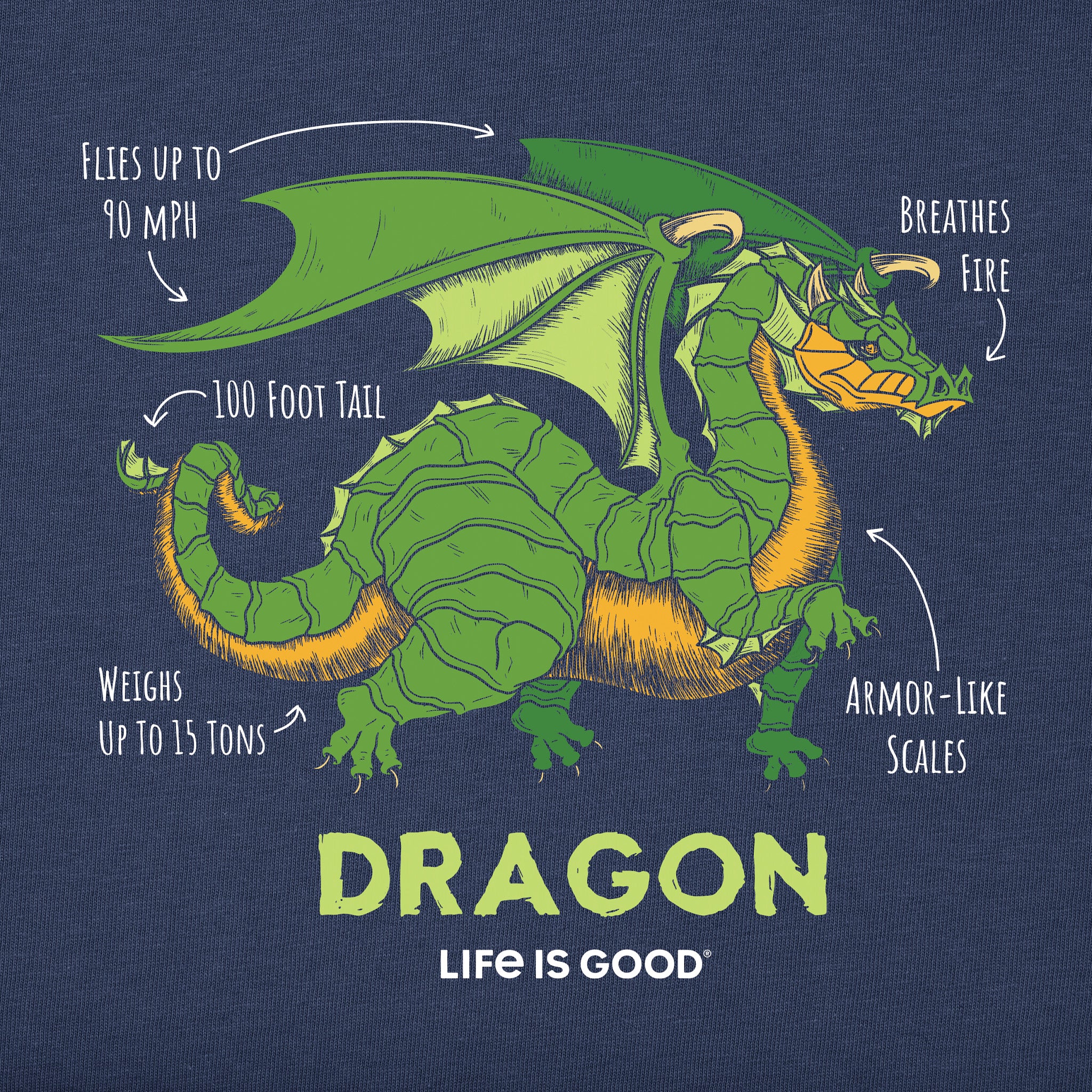 Kids Dragon Facts Short Sleeve Crusher Tee | Shop Life is Good