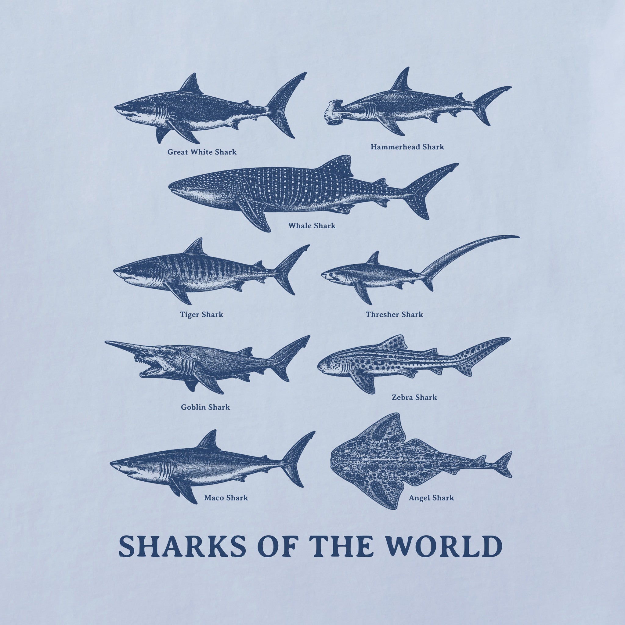 Men's Sharks of the World Short Sleeve Crusher Tee | Shop Life is Good